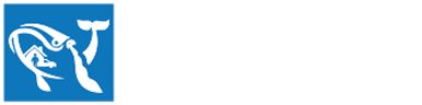 Jonas Insurance Services Logo